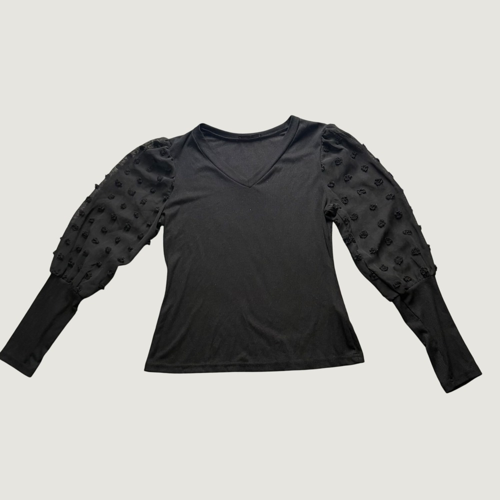 Emery Rose Top Large Swiss Dot Sheer Balloon Sleeve Ribbed V-Neck Black Slim Fit